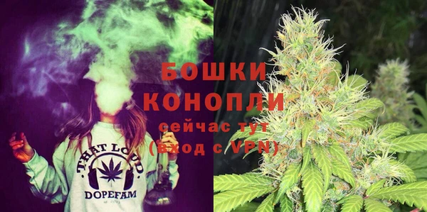 твердый Абаза