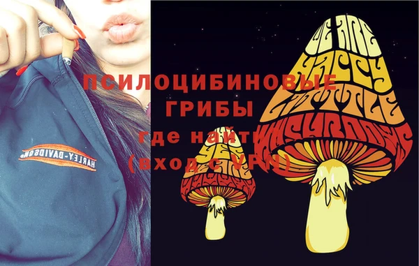 метадон Абинск